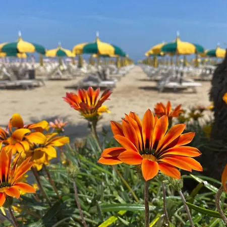 Bay Suites&residence 3*