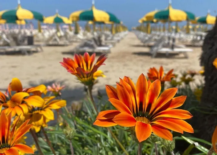 Bay Suites&residence 3*