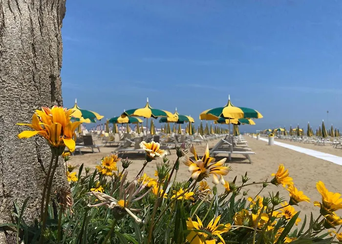 Bay Suites&residence Aparthotel